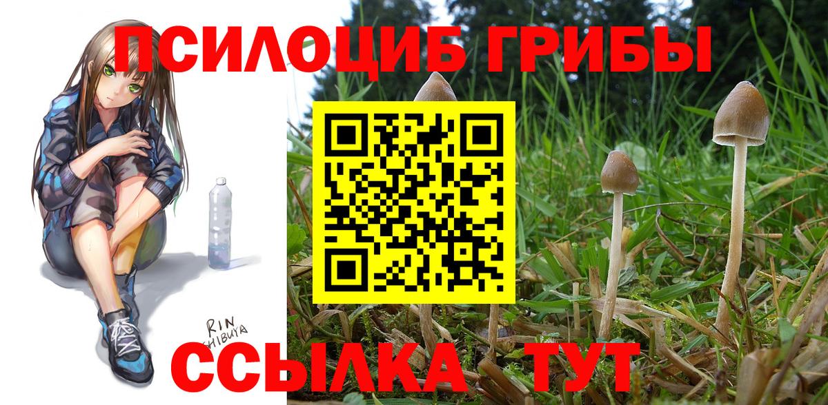 Галлюциногенные грибы GOLDEN TEACHER  Вход с VPN  Белебей 