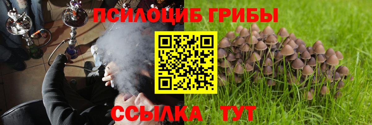 Галлюциногенные грибы мухоморы Белебей
